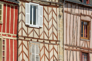 Enlèvement arbre urgence Vannes